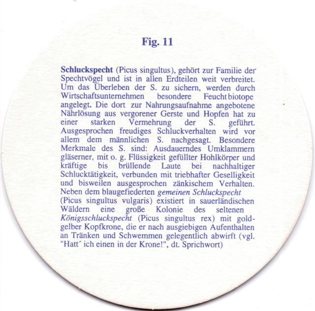 marsberg hsk-nw ritzenhoff 22b (rund215-fig 11-blau)
